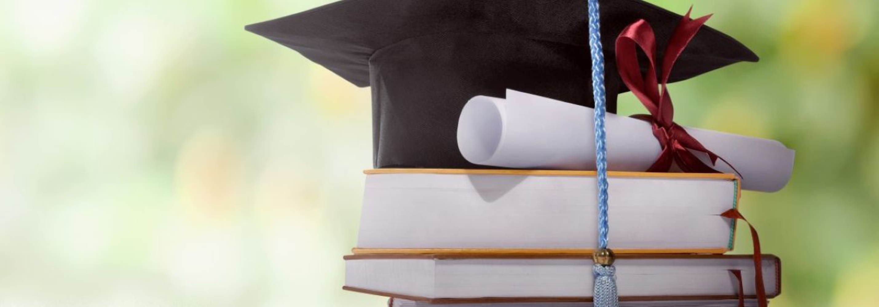 2025/2026 TMU Admission for International Students